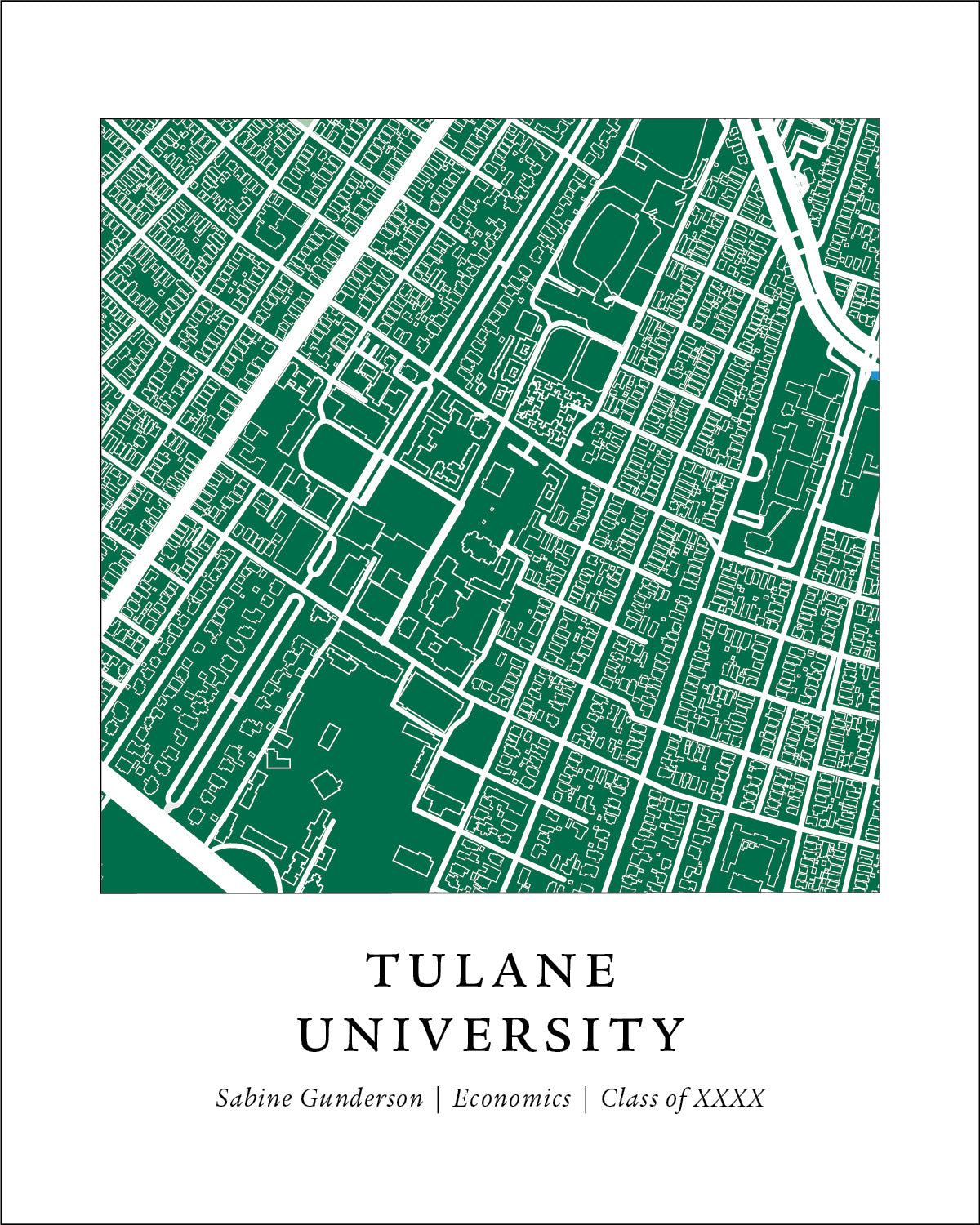 Tulane University Campus Print