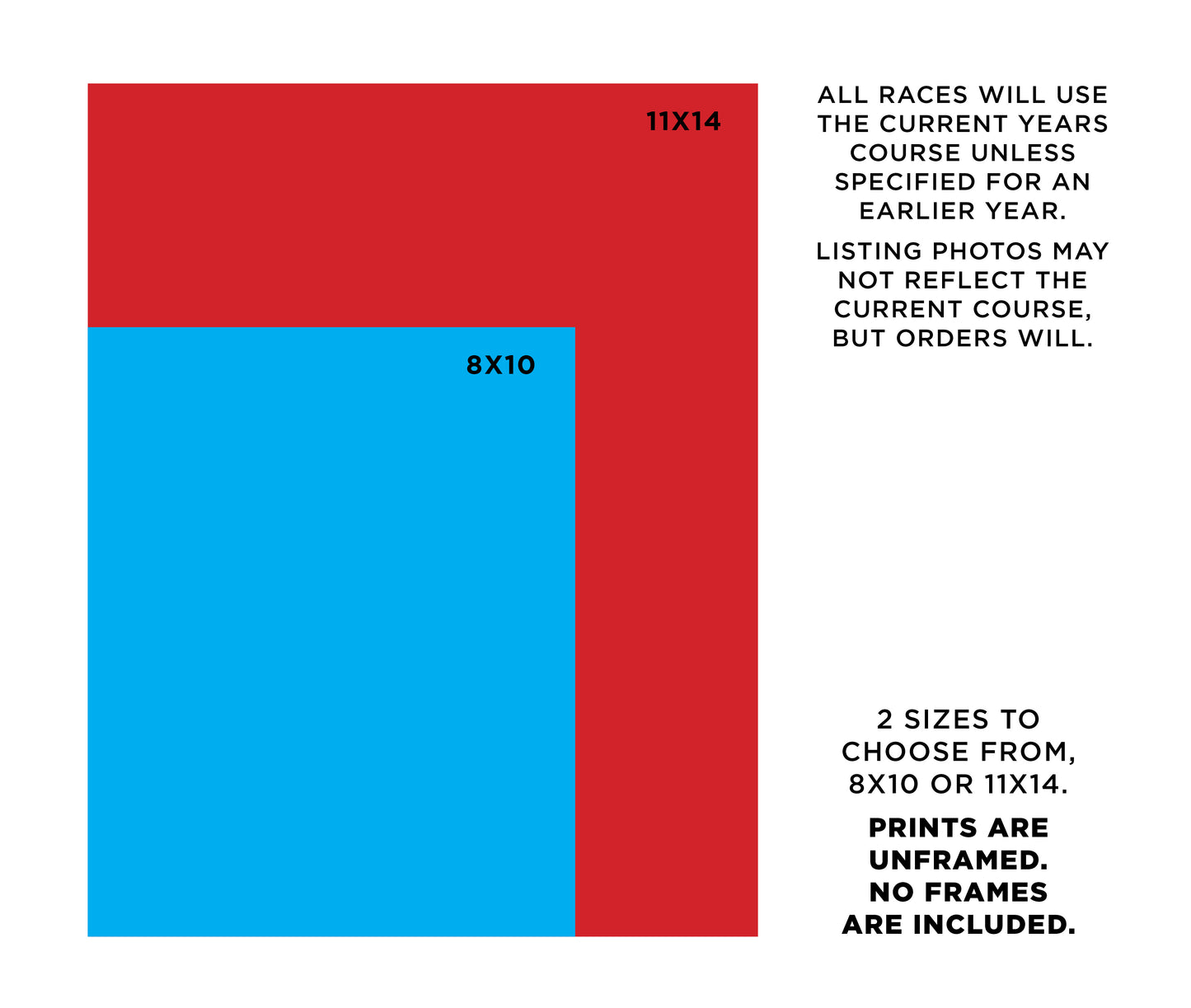 Pittsburgh 13.1 Half Marathoner Print